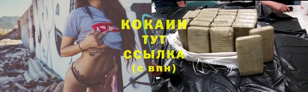 тгк Заводоуковск