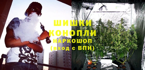 тгк Заводоуковск