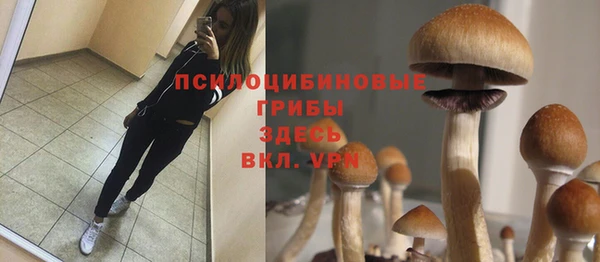 тгк Заводоуковск